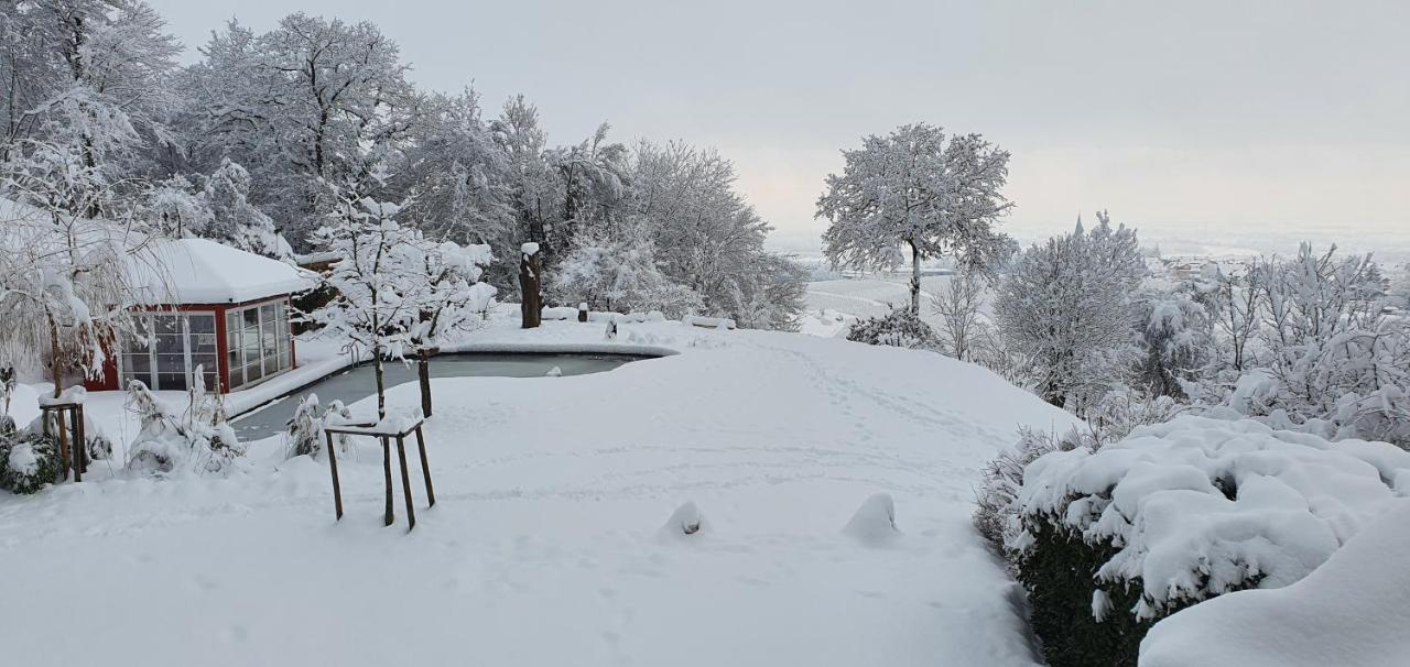 Paradies 2 Castellberg-Jakobsweg Döttingen Buitenkant foto