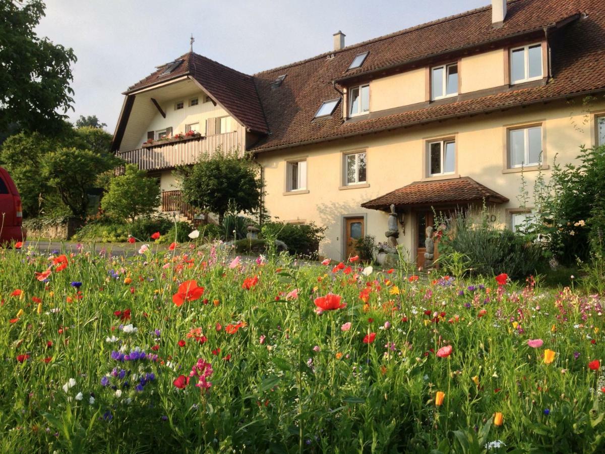 Paradies 2 Castellberg-Jakobsweg Döttingen Buitenkant foto